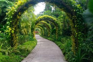 Garden travel destinations for botanical enthusiasts